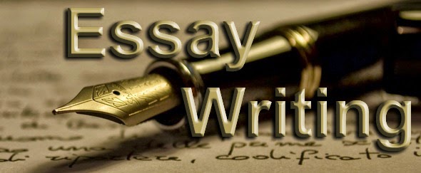 Essay assignment writing