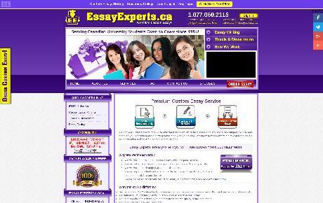 Essay experts