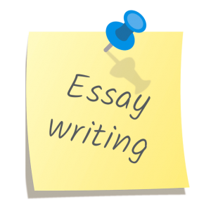 Essay wrighter