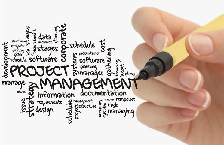 Project management for