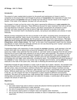 Transpiration lab report