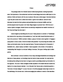 Write analysis essay
