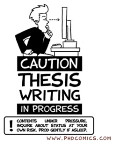 Writing a doctoral dissertation