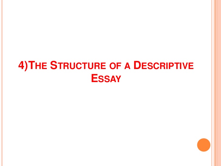 Planning your essay is the first important step in the writing process.